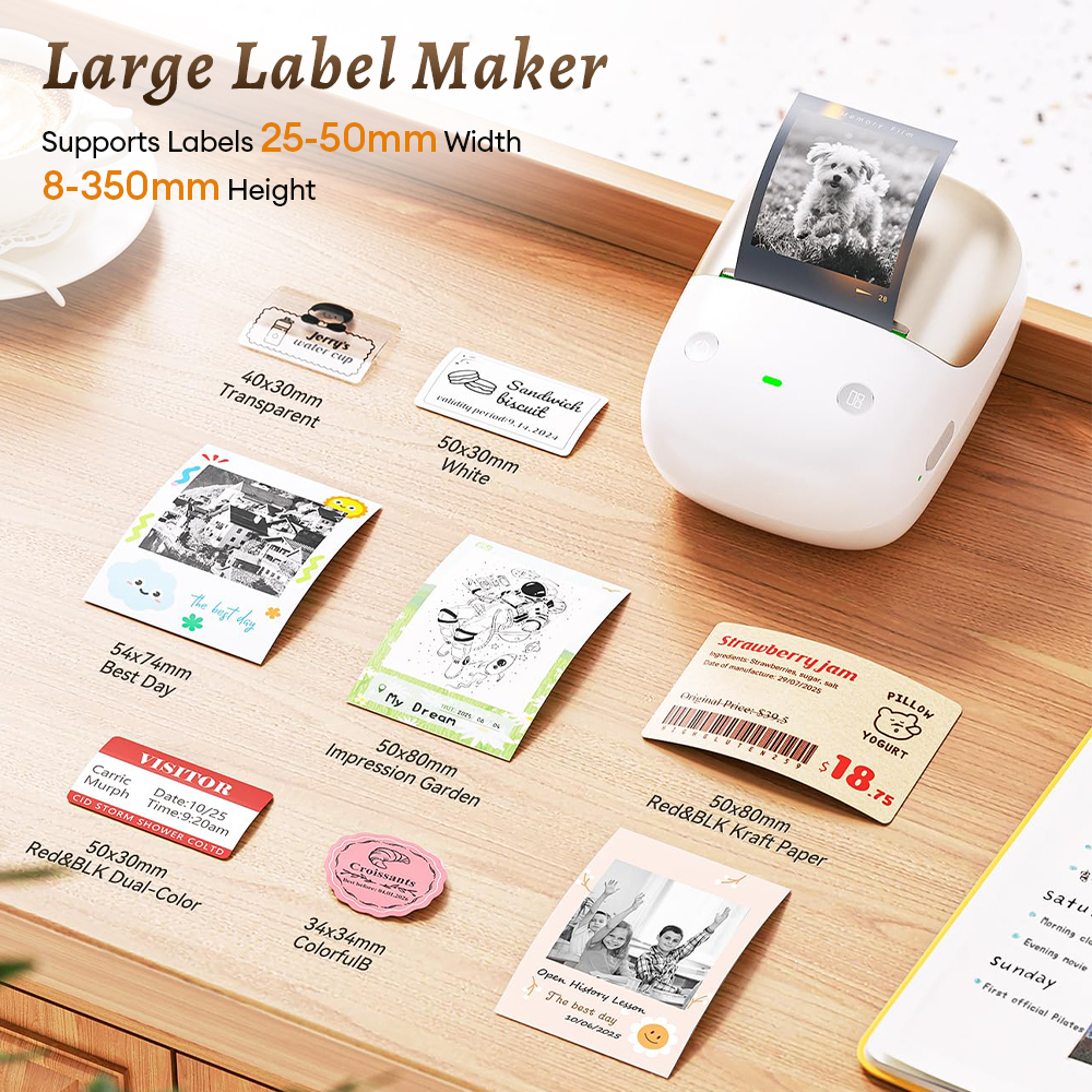 Niimbot B2Pro 300DPI Portable  - Commercial Printing Network review and price